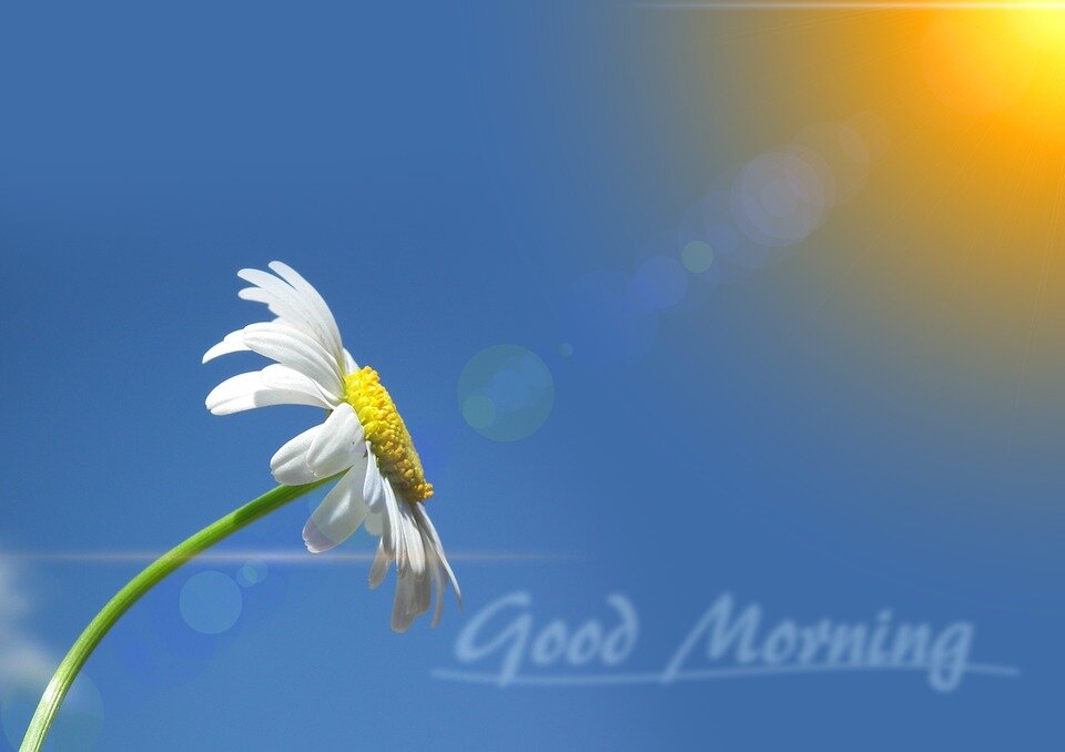 Good Morning Shayari, Hindi Shayari, Good Morning Shayari in Hindi, Good Morning SMS, Good Morning Wishes, Good Morning, Good Morning Image