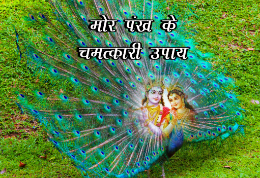 mor pankh ke totke, mor pankh ke upay, mor pankh, mor pankh ke totke in hindi, totke, upay, krishna, peacock feather