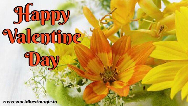 happy valentine day, happy valentine day shayari, happy valentine day wishes, valentine day quotes, valentine sms, happy valentine day images, हैप्पी वैलेंटाइन डे, love shayari, happy valentine day sms, romantic shayari, valentine shayari, valentine day ki shayari, valentine day status, हैप्पी वेलेंटाइन डे शायरी, happy valentine day whatsapp status
